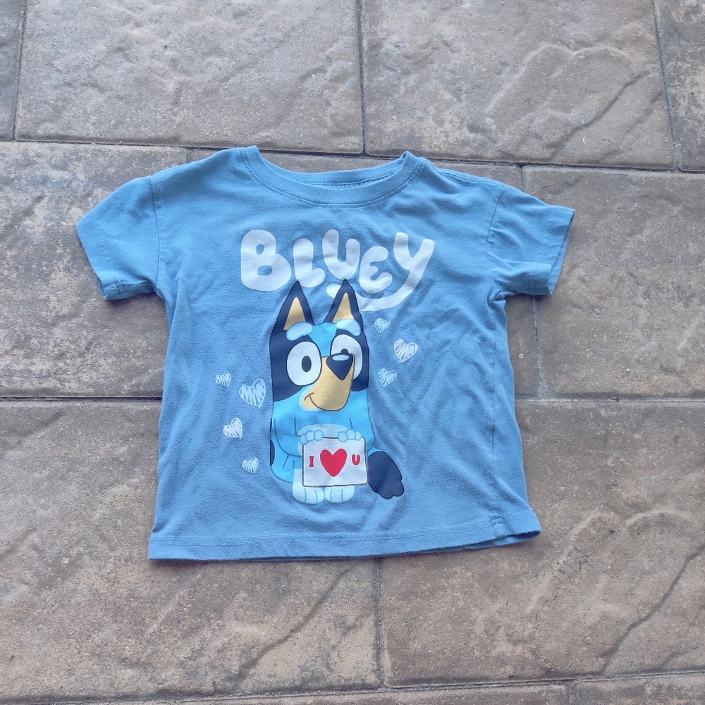 Bluey Valentine Day Shirt